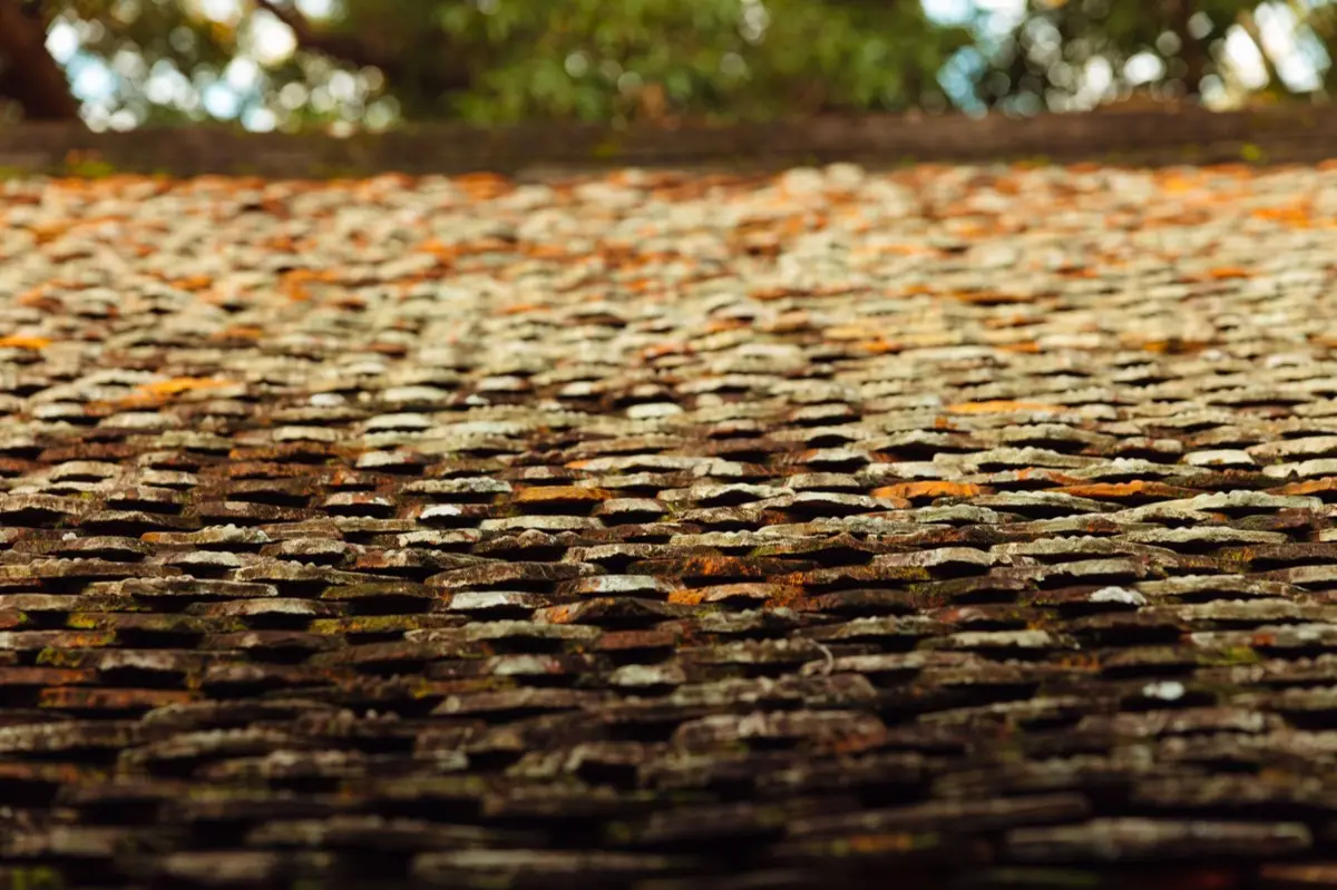 Roof Coatings & Sealants in Wilmington, DE