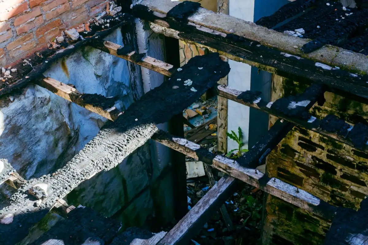 Roof Leak Diagnosis & Repair in Wilmington, DE